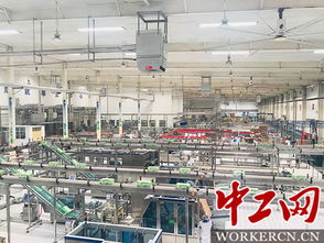 透明無盲區(qū) 伊利智慧全守護 | 當高科技助推“舌尖守護極境之旅