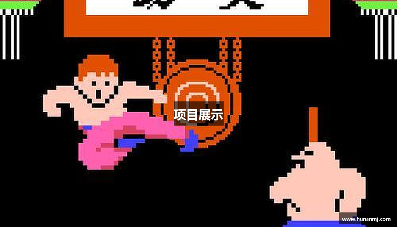 項(xiàng)目展示